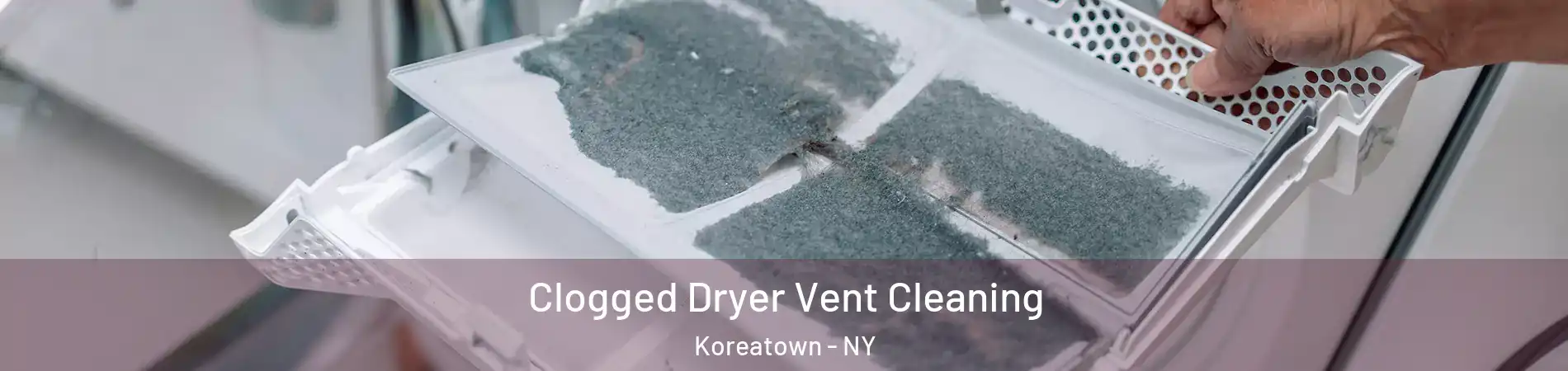 Clogged Dryer Vent Cleaning Koreatown - NY