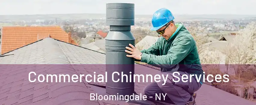 Commercial Chimney Services Bloomingdale - NY