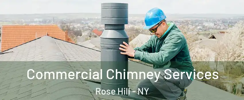 Commercial Chimney Services Rose Hill - NY