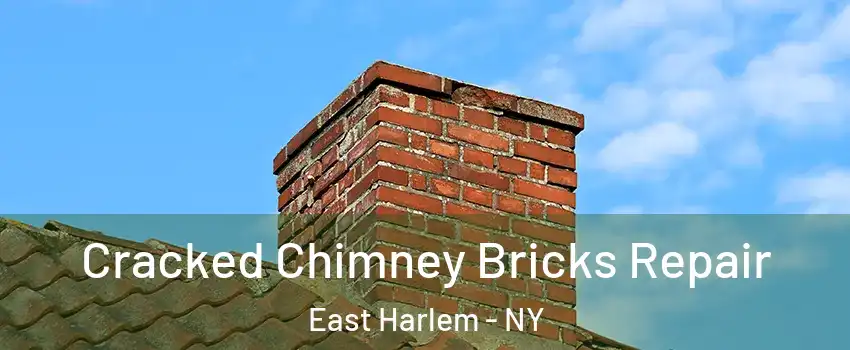 Cracked Chimney Bricks Repair East Harlem - NY
