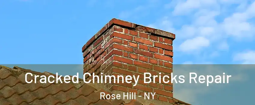 Cracked Chimney Bricks Repair Rose Hill - NY