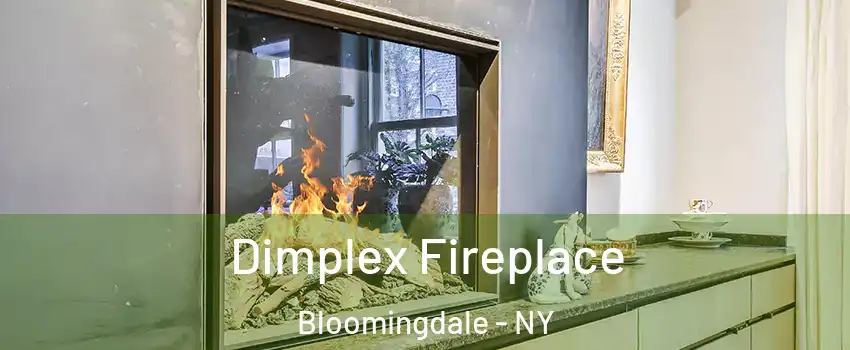 Dimplex Fireplace Bloomingdale - NY