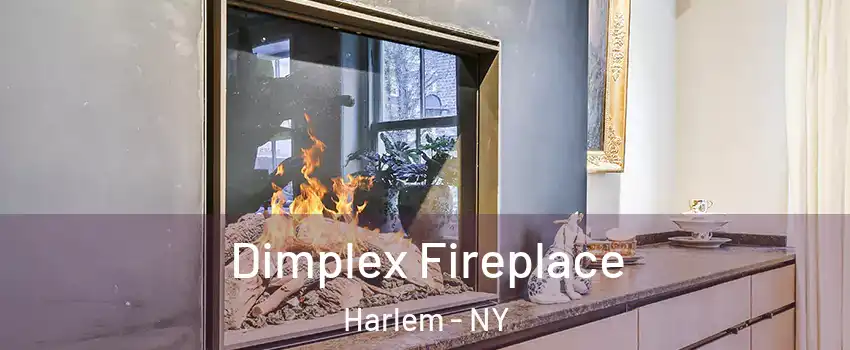 Dimplex Fireplace Harlem - NY