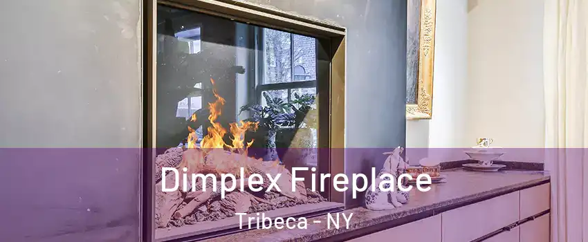 Dimplex Fireplace Tribeca - NY