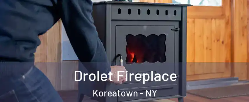 Drolet Fireplace Koreatown - NY