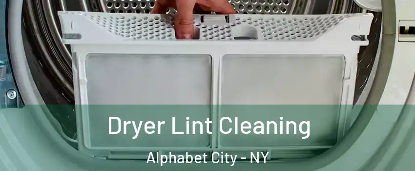 Dryer Lint Cleaning Alphabet City - NY