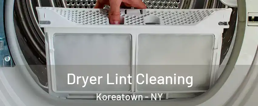 Dryer Lint Cleaning Koreatown - NY