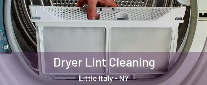 Dryer Lint Cleaning Little Italy - NY
