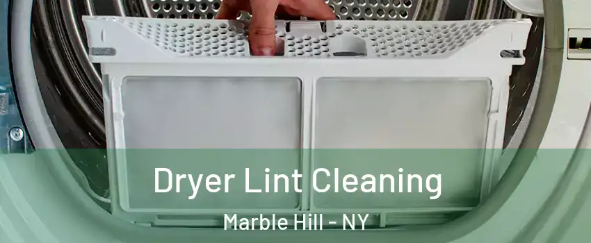 Dryer Lint Cleaning Marble Hill - NY