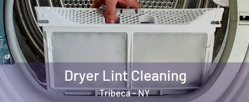Dryer Lint Cleaning Tribeca - NY