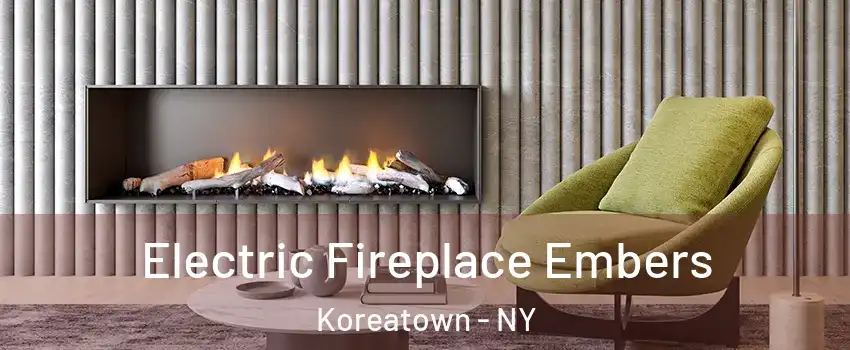 Electric Fireplace Embers Koreatown - NY