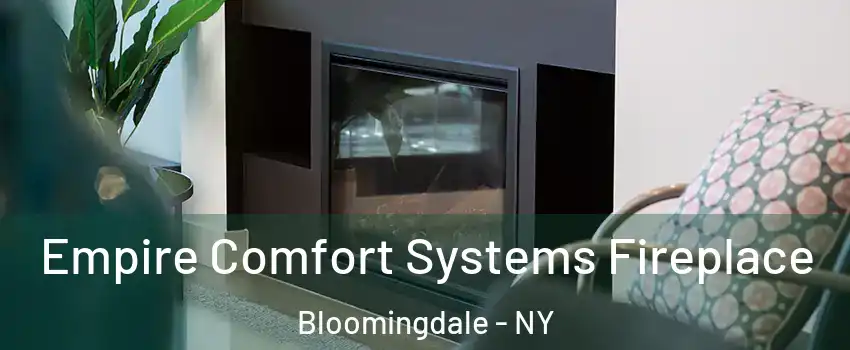 Empire Comfort Systems Fireplace Bloomingdale - NY