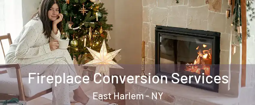 Fireplace Conversion Services East Harlem - NY