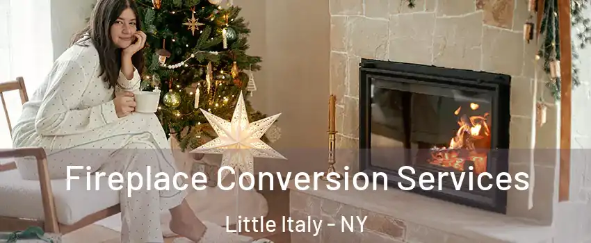 Fireplace Conversion Services Little Italy - NY
