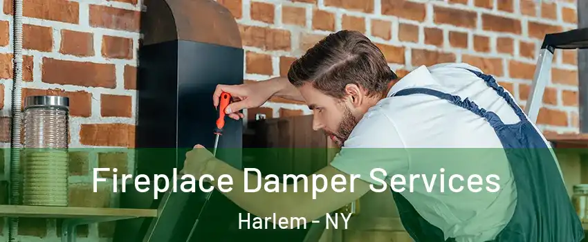 Fireplace Damper Services Harlem - NY