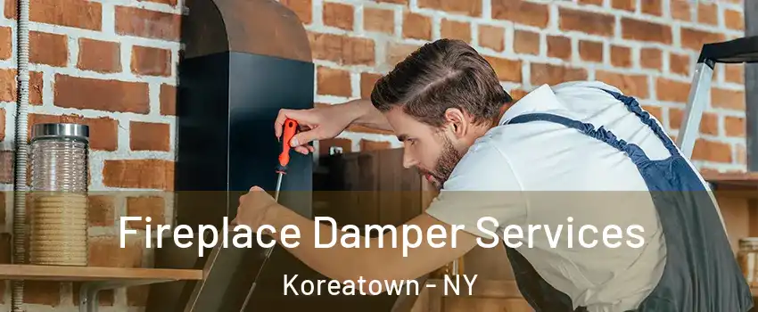 Fireplace Damper Services Koreatown - NY