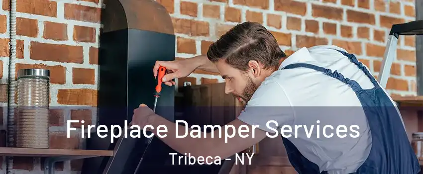Fireplace Damper Services Tribeca - NY