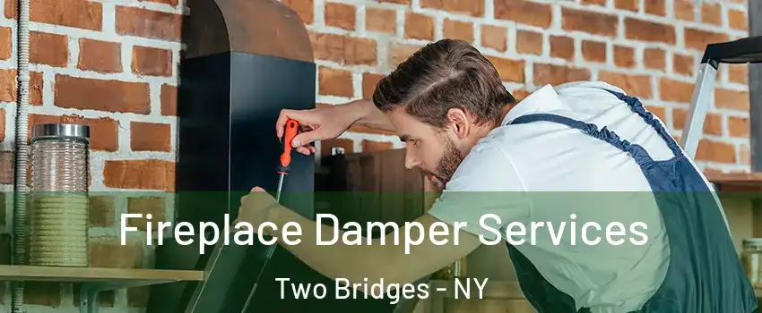 Fireplace Damper Services Two Bridges - NY