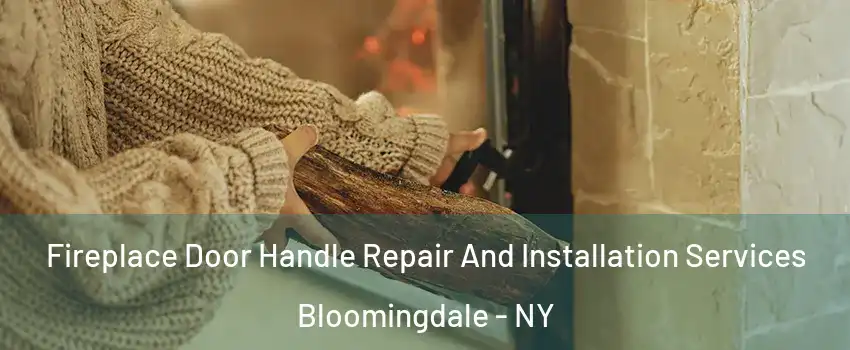 Fireplace Door Handle Repair And Installation Services Bloomingdale - NY
