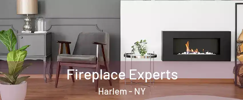 Fireplace Experts Harlem - NY