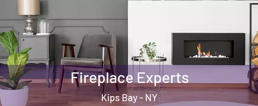 Fireplace Experts Kips Bay - NY