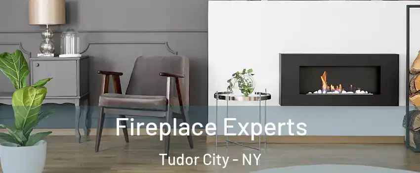 Fireplace Experts Tudor City - NY