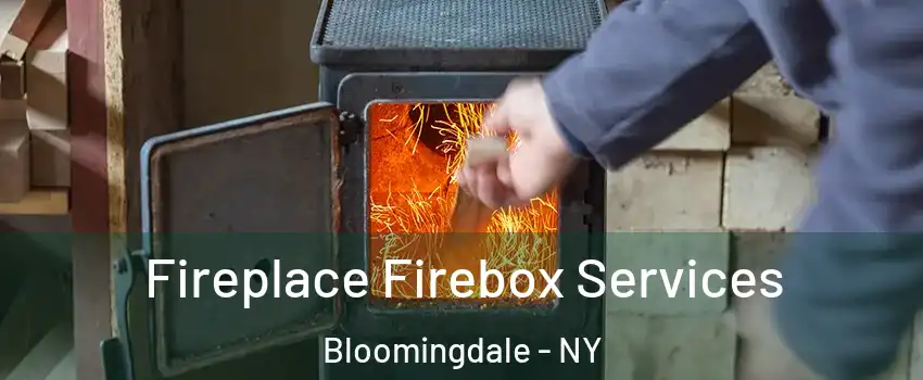 Fireplace Firebox Services Bloomingdale - NY