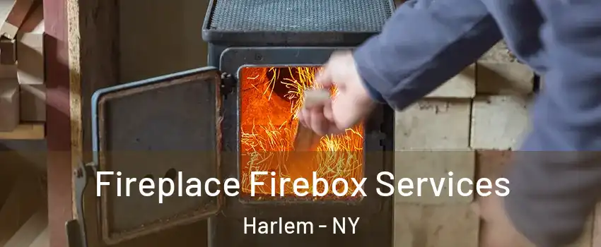 Fireplace Firebox Services Harlem - NY