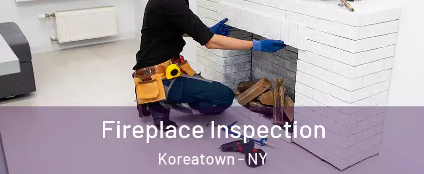 Fireplace Inspection Koreatown - NY