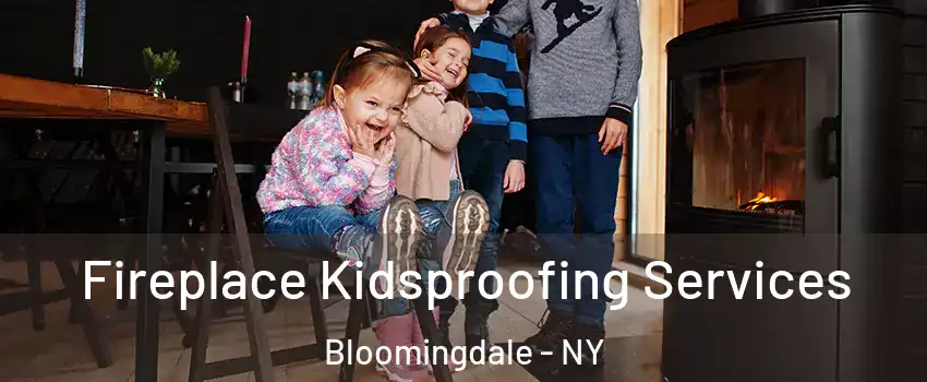 Fireplace Kidsproofing Services Bloomingdale - NY