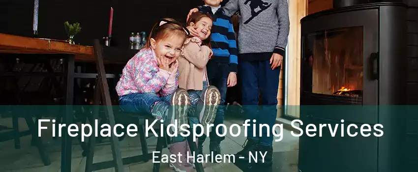 Fireplace Kidsproofing Services East Harlem - NY