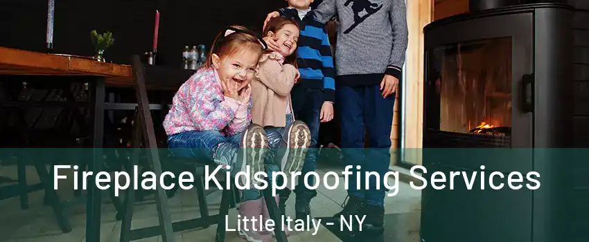 Fireplace Kidsproofing Services Little Italy - NY