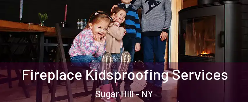 Fireplace Kidsproofing Services Sugar Hill - NY