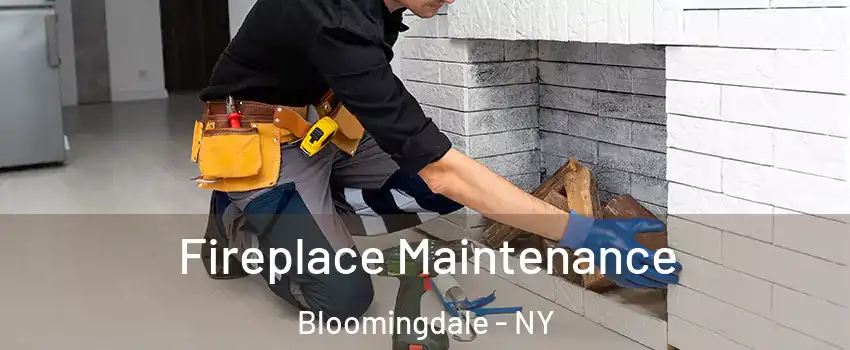 Fireplace Maintenance Bloomingdale - NY