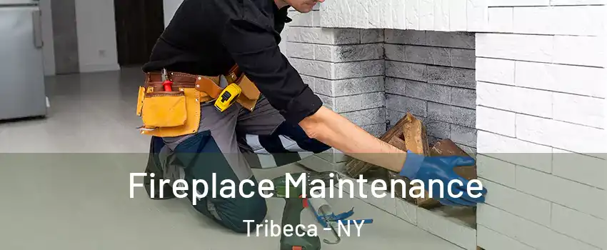 Fireplace Maintenance Tribeca - NY