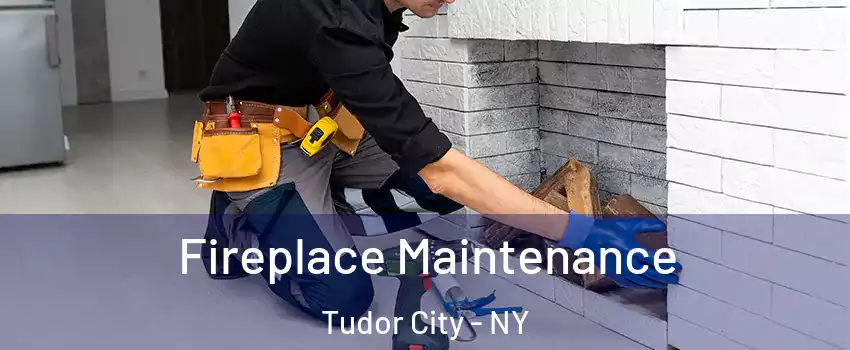 Fireplace Maintenance Tudor City - NY