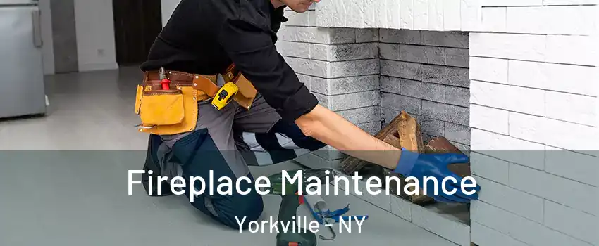 Fireplace Maintenance Yorkville - NY