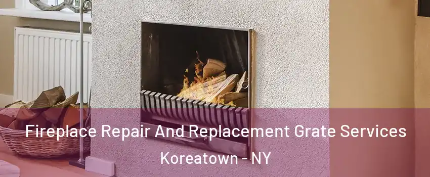 Fireplace Repair And Replacement Grate Services Koreatown - NY
