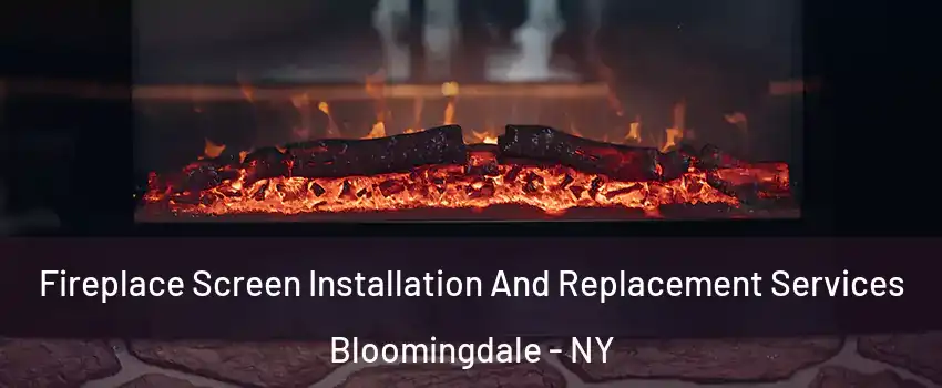 Fireplace Screen Installation And Replacement Services Bloomingdale - NY