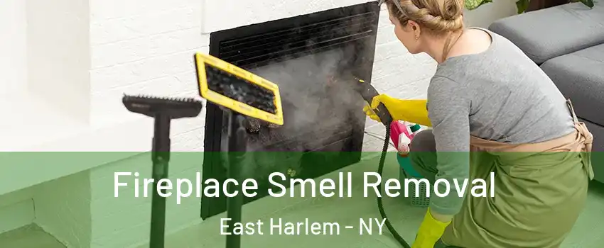 Fireplace Smell Removal East Harlem - NY