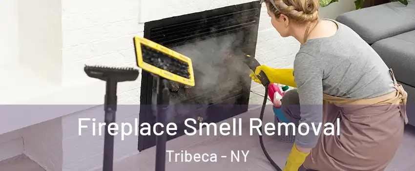 Fireplace Smell Removal Tribeca - NY