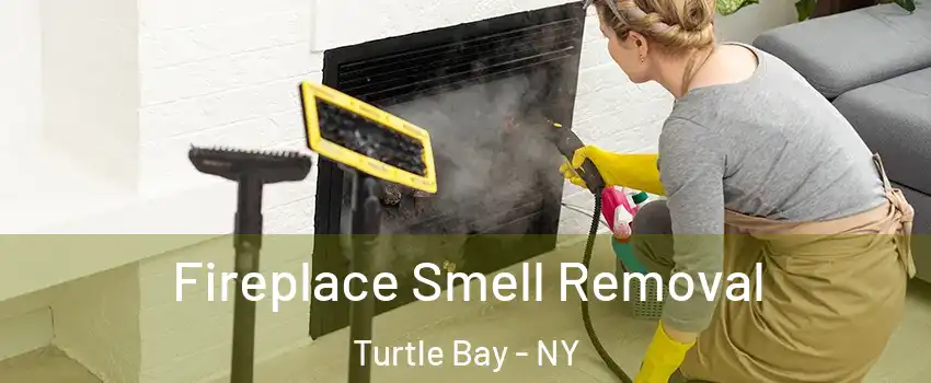 Fireplace Smell Removal Turtle Bay - NY