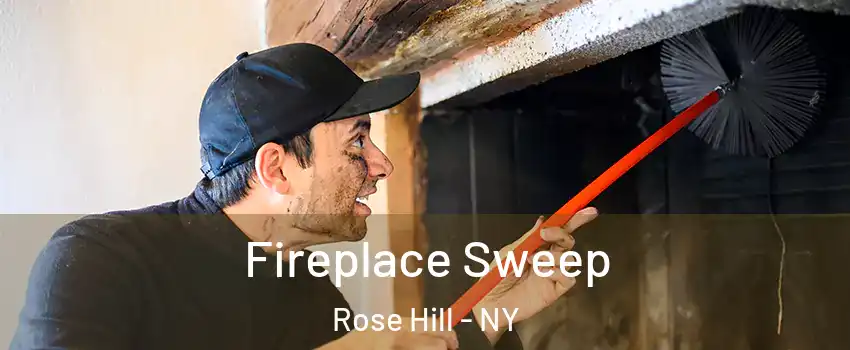 Fireplace Sweep Rose Hill - NY