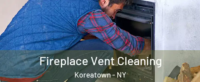 Fireplace Vent Cleaning Koreatown - NY