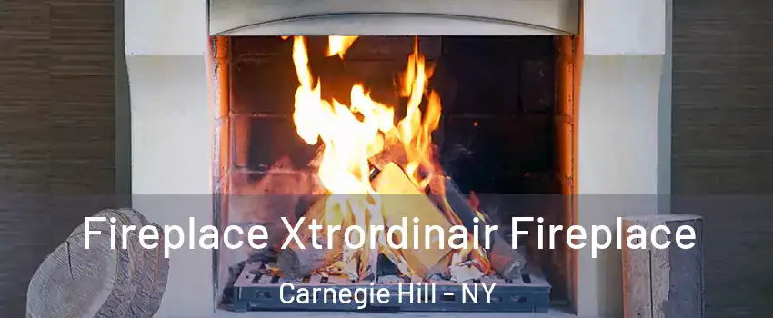 Fireplace Xtrordinair Fireplace Carnegie Hill - NY
