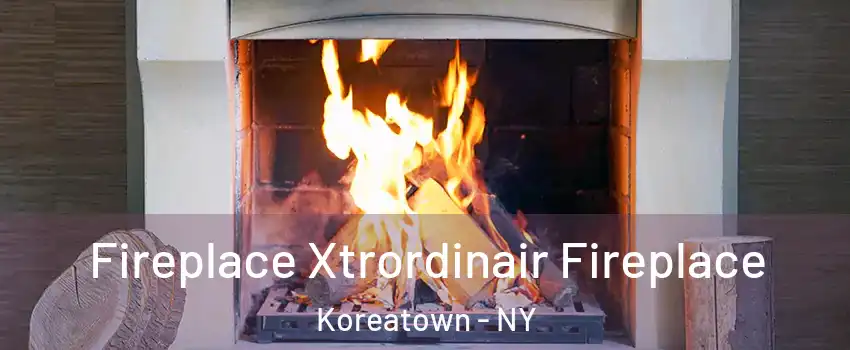 Fireplace Xtrordinair Fireplace Koreatown - NY