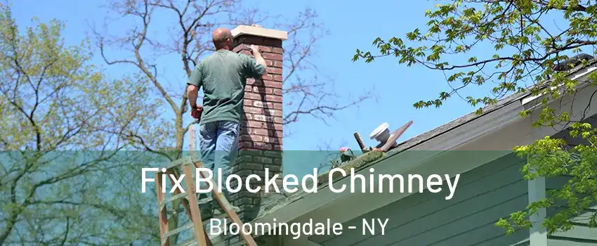 Fix Blocked Chimney Bloomingdale - NY