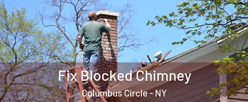 Fix Blocked Chimney Columbus Circle - NY