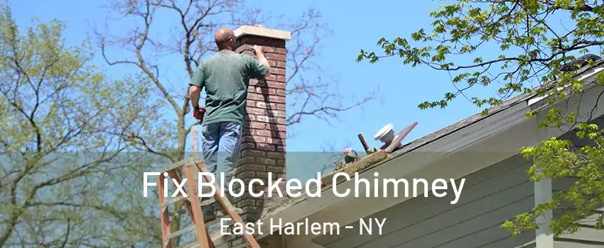 Fix Blocked Chimney East Harlem - NY
