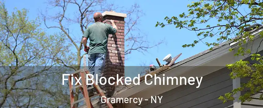 Fix Blocked Chimney Gramercy - NY